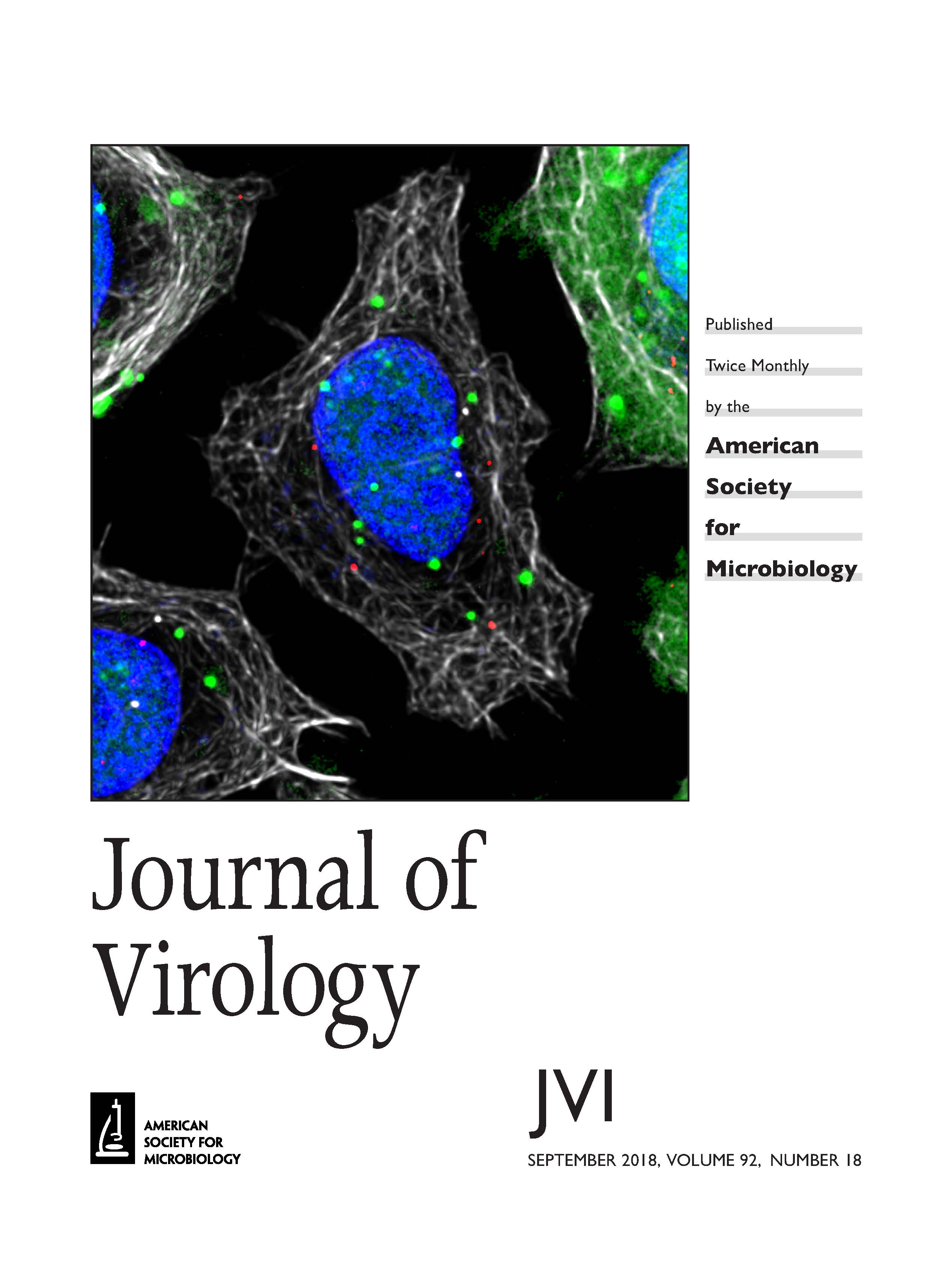 journal of virology research & reports